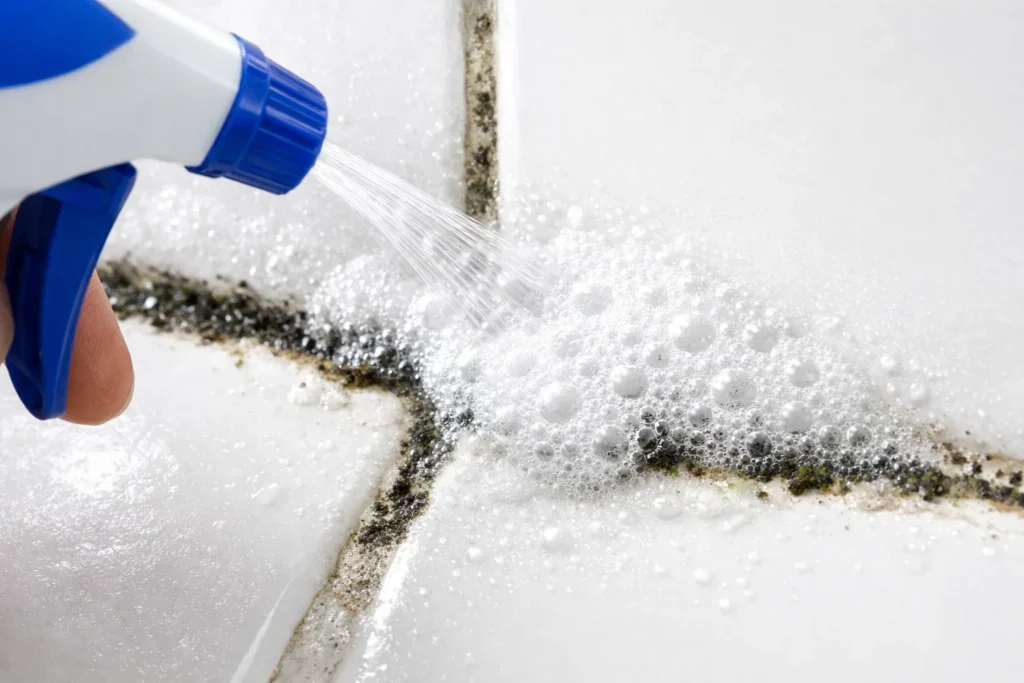 Spraying a foaming cleaning solution onto moldy tile grout using a blue and white spray bottle.