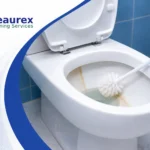 How to Clean Stains From a Toilet Without Damaging the Bowl