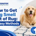 How to Get Dog Smell Out of Rug: 10 Easy Methods That Actually Work